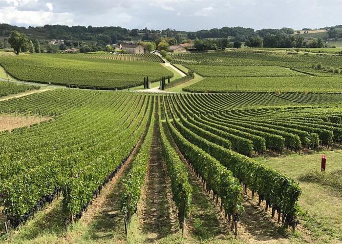 Vila Chai Aurel Et Nico Néac Exteriér fotografie